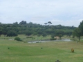 P1100075