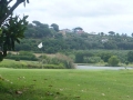 P1100078