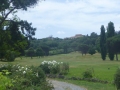 P1100079
