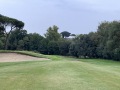 IMG_2567