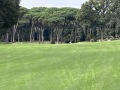 IMG_2570