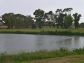P1040239