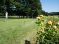 DSC01936