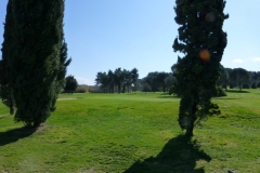 7 marzo 2015 - Golf Fioranello